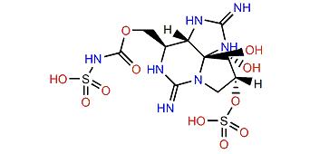 Protogonyautoxin I